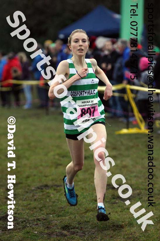 Senior womens North Eastern Cross Country, Aykley Heads, Durham. Photo: David T. Hewitson/Sports for All Pics